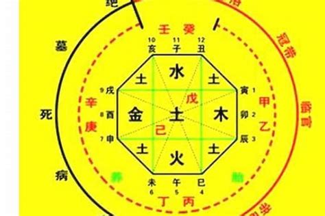 十不算算命|生辰八字算命、五行喜用神查询（免费测算）